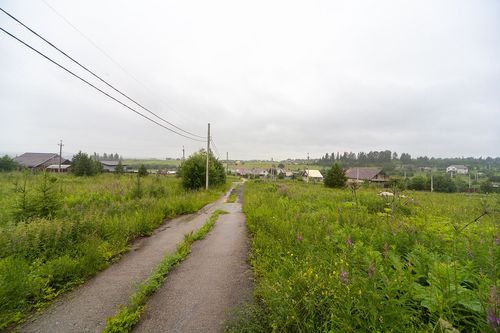 Большакино д., null