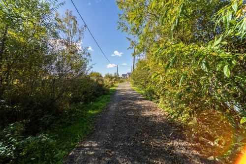 Большая Мось д., null