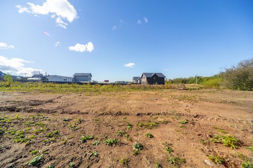 Большая Мось д., null