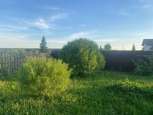 Черноусово с., null