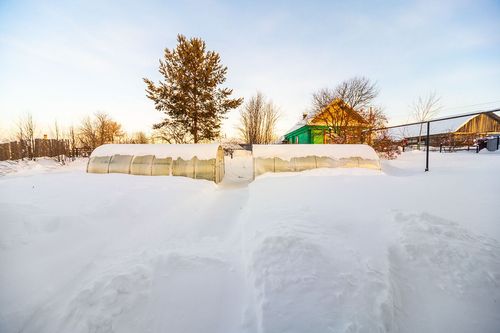 Дивья п., null