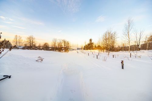 Дивья п., null