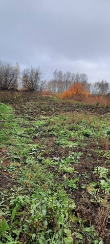 Елово с., null