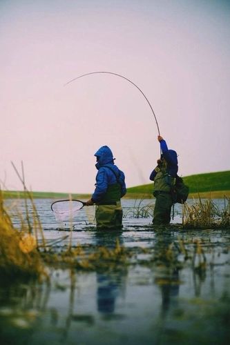 Елово с., null