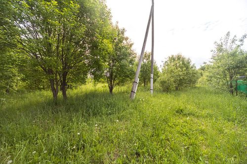Красная Слудка с., null
