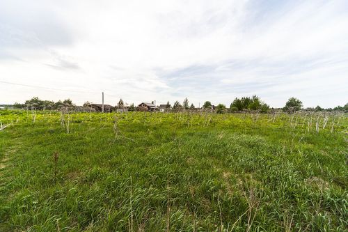 Пермский край, Пермский район, Красный Восход п.