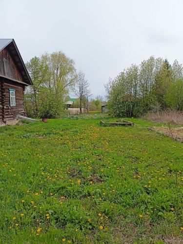 Кукуштан п., null