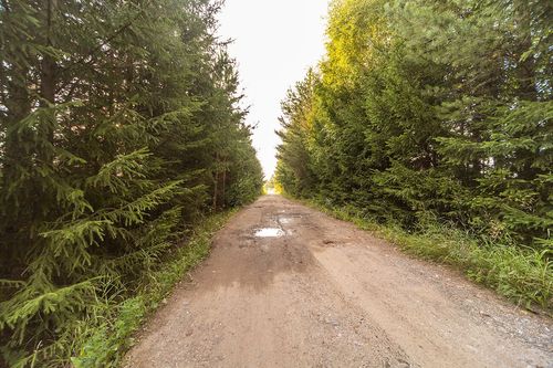 Огрызково д., null