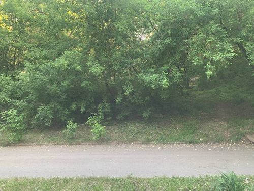 Пермь, Академика Веденеева