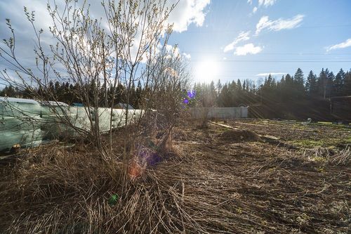 Пермь г., null