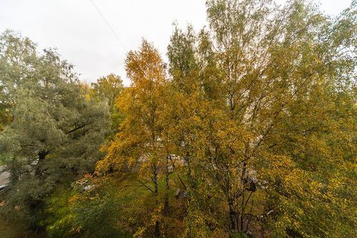 Пермь, Карпинского