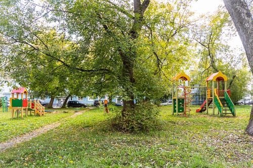 Пермь, Лебедева