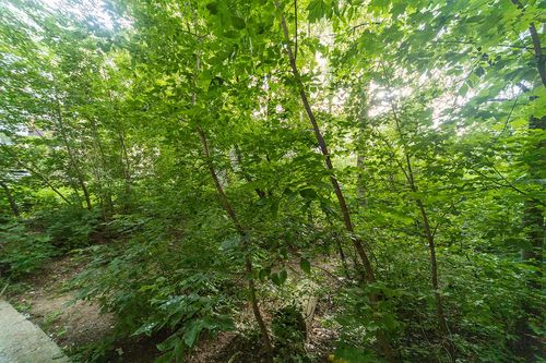 Пермь, Лодыгина