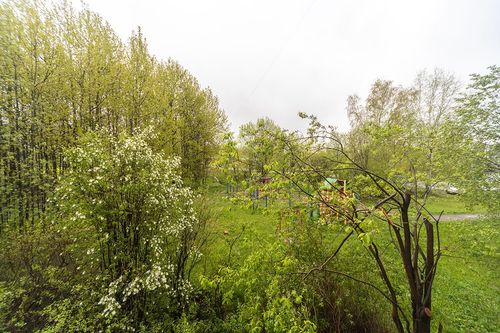 Пермь, Щитовая