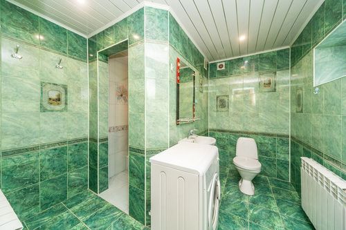 Петрушата д., null