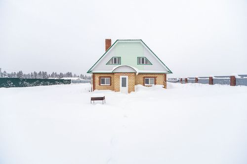 Петрушата д., null