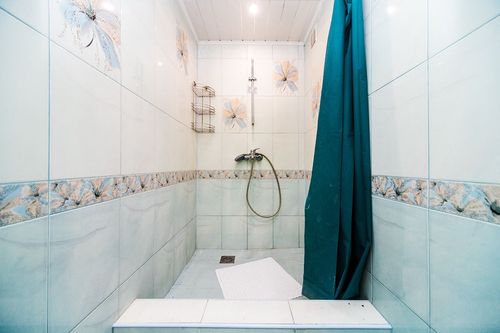 Петрушата д., null