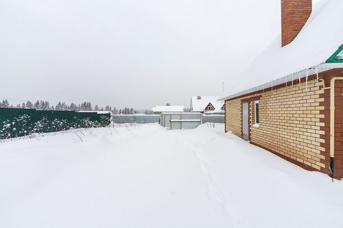 Петрушата д., null