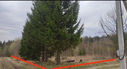 СНТ Надежда-2 (КВ.43 Н-К Лесничества) снт, null