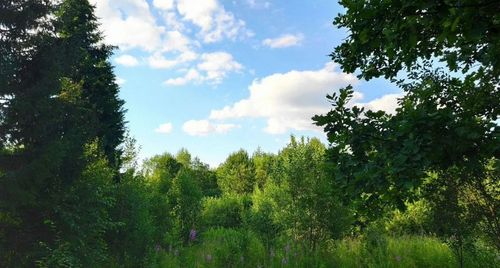 СНТ Надежда-2 (КВ.43 Н-К Лесничества) снт, null