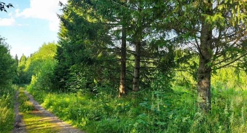 СНТ Надежда-2 (КВ.43 Н-К Лесничества) снт, null