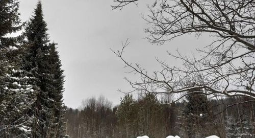 СНТ Надежда-2 (КВ.43 Н-К Лесничества) снт, null