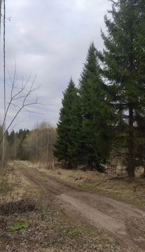 СНТ Надежда-2 (КВ.43 Н-К Лесничества) снт, null