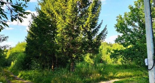 СНТ Надежда-2 (КВ.43 Н-К Лесничества) снт, null