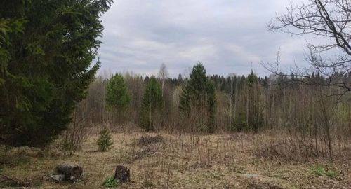 СНТ Надежда-2 (КВ.43 Н-К Лесничества) снт, null