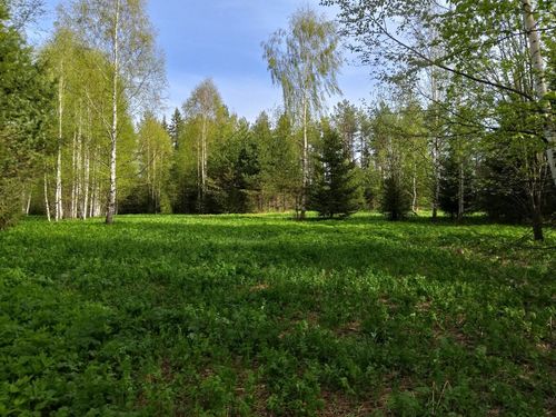 Пермский край, Ильинский район, Сретенское с.