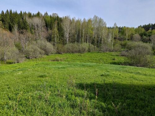 Пермский край, Ильинский район, Сретенское с.