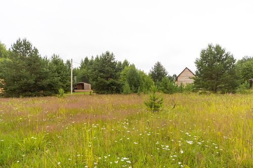 Пермский край, Добрянка г., Урочище Лисий хвост тер.