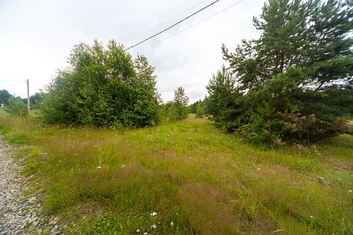 Урочище Лисий хвост тер., null